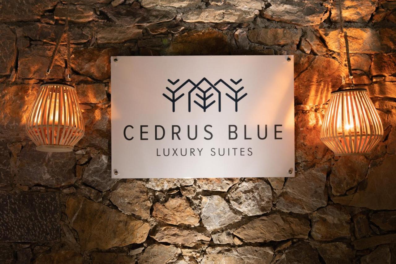 Cedrus Blue Simi Exterior foto